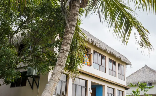 Three bedroom house surrounded by palms